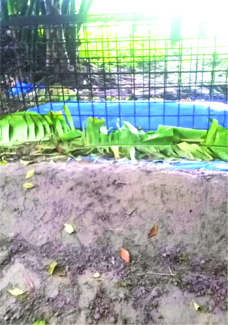 Image of মো: জোনায়েদ